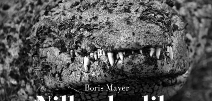 Buchcover des Fotobandes Nilkrokodile von Boris Mayer